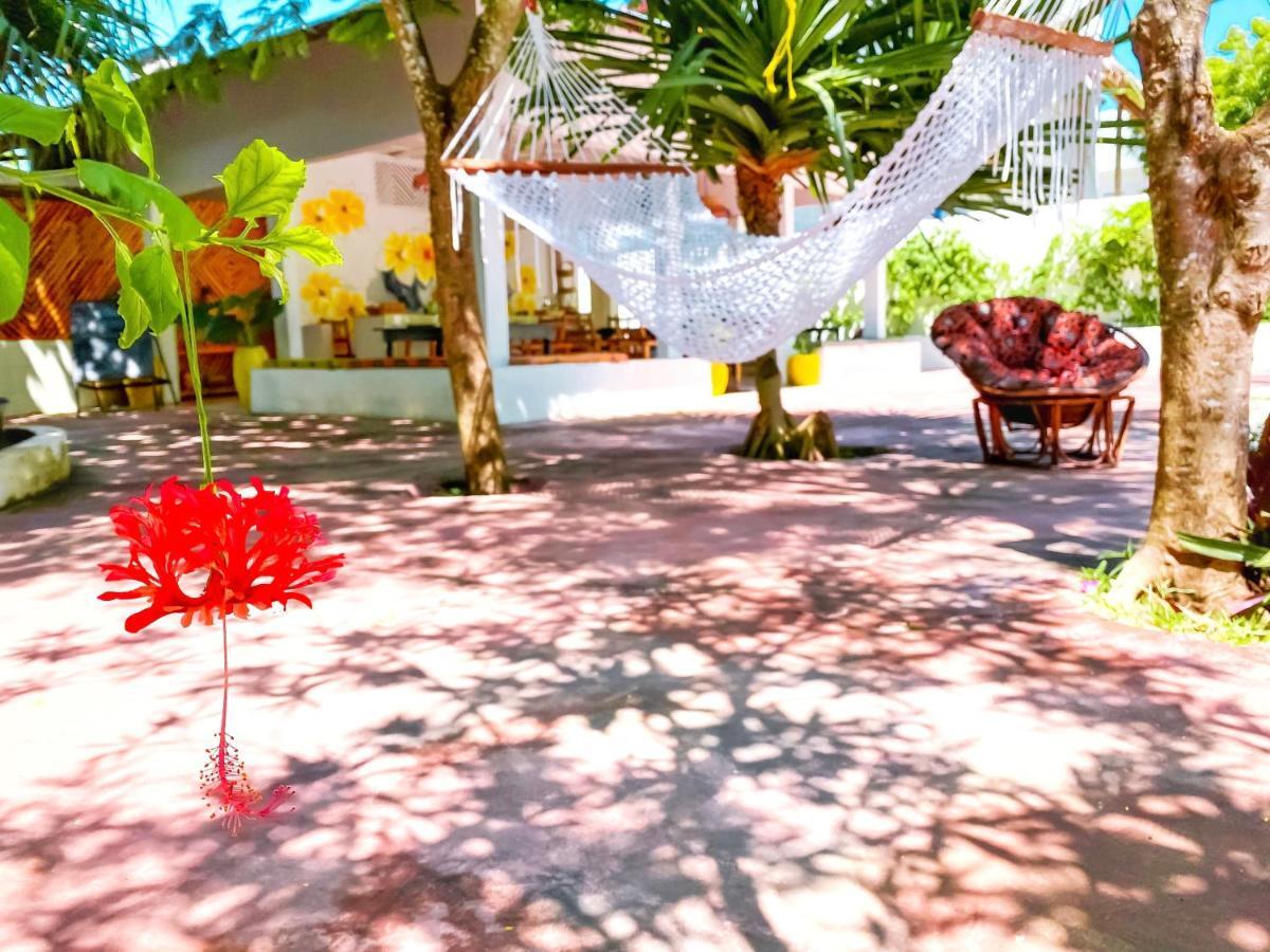 Papaya Guest House Nungwi Exterior photo